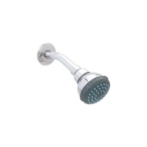 Regadera con Brazo y Chapetón Clásica