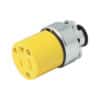 Surtek 136407 Contacto blindado metal aterrizado, color amarillo